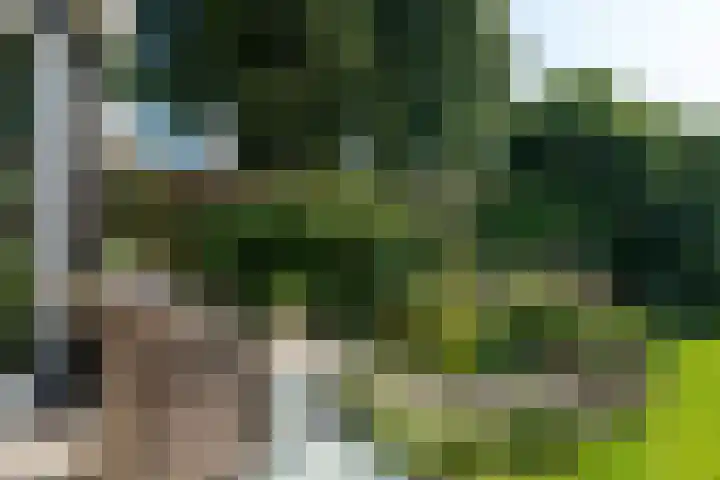 Fregat 3 Wieringerwerf thumbnail 51