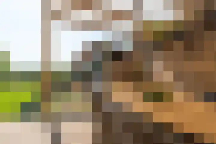 Fregat 3 Wieringerwerf thumbnail 53