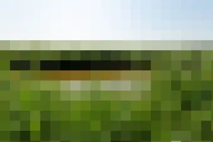 Fregat 3 Wieringerwerf thumbnail 57