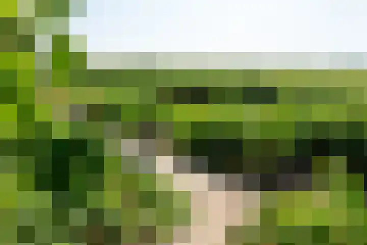 Fregat 3 Wieringerwerf thumbnail 58