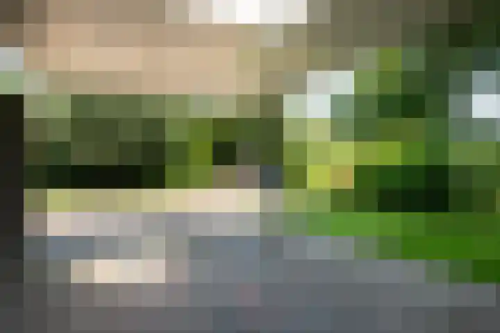 Fregat 3 Wieringerwerf thumbnail 62