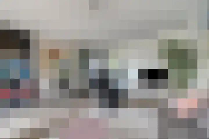 Fregat 31 Velserbroek thumbnail 6