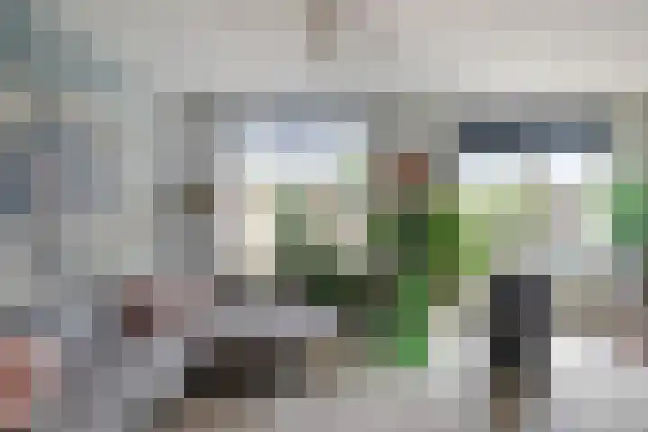 Fregat 31 Velserbroek thumbnail 7