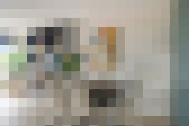 Fregat 31 Velserbroek thumbnail 8