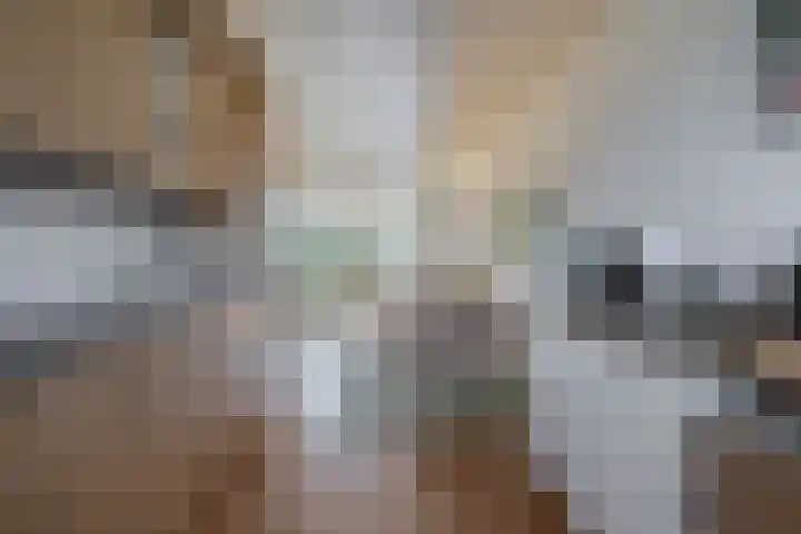 Fregat 39 Brielle thumbnail 23