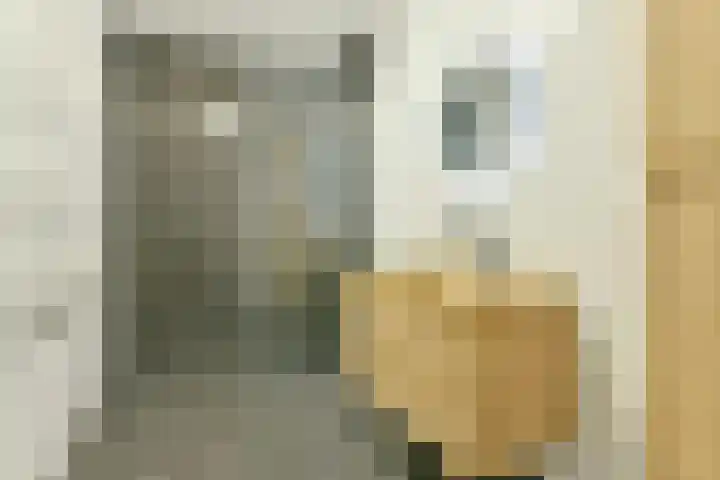 Fregat 413 Diemen thumbnail 6