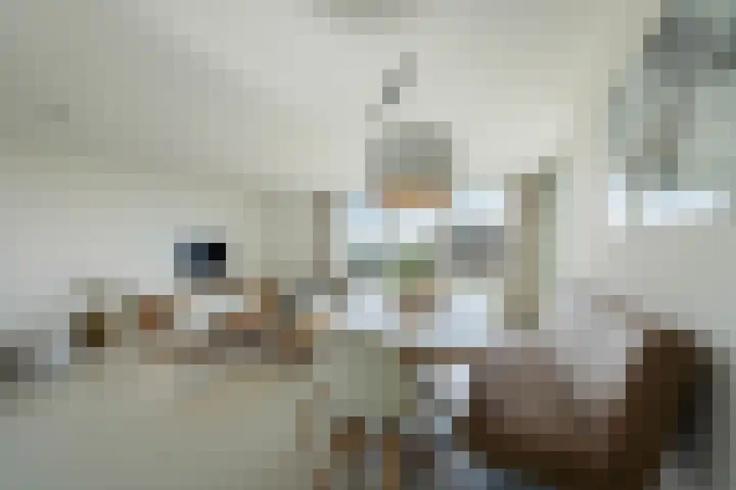Fregat 473 Diemen thumbnail 8