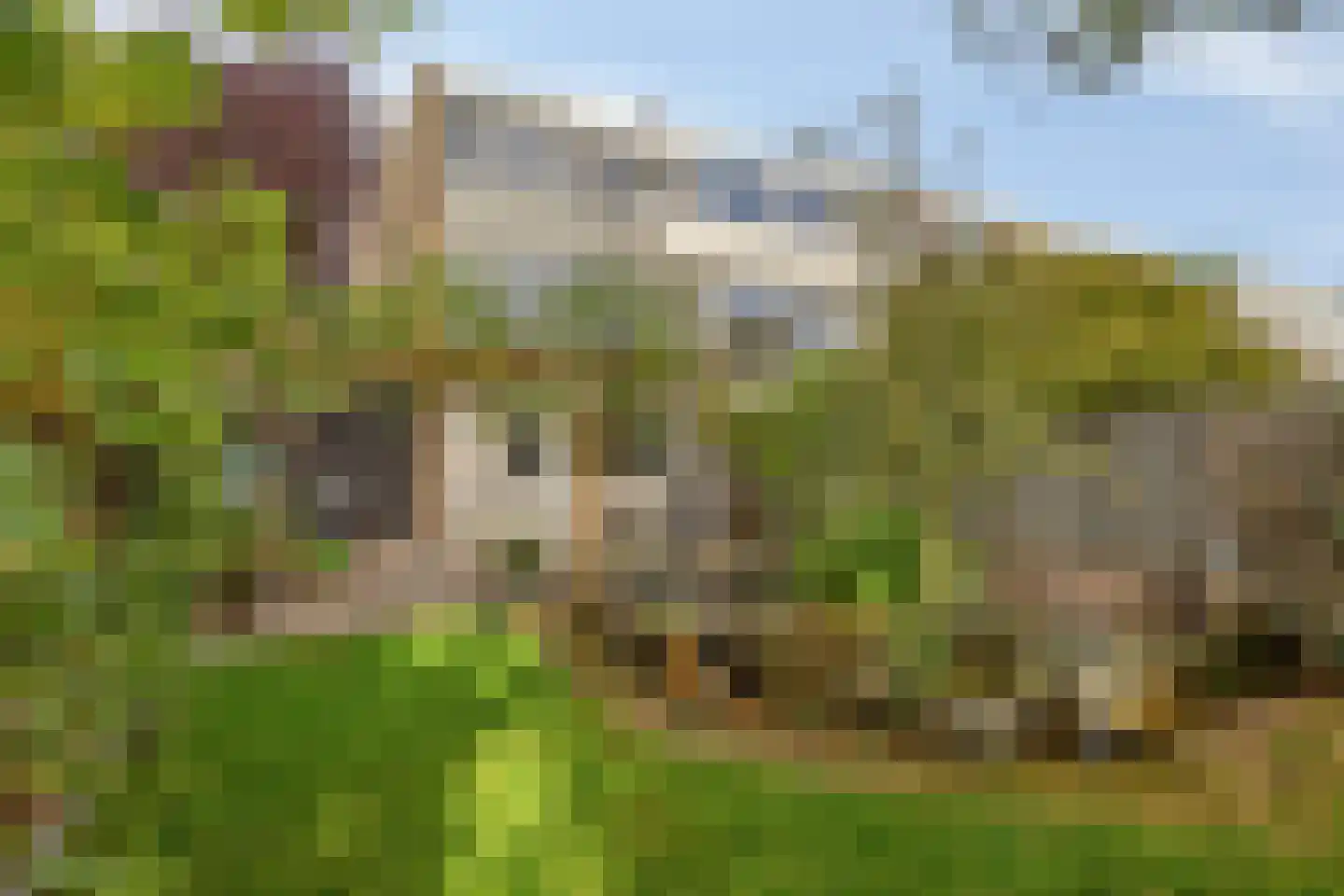 Fregat 55 Brielle thumbnail 24