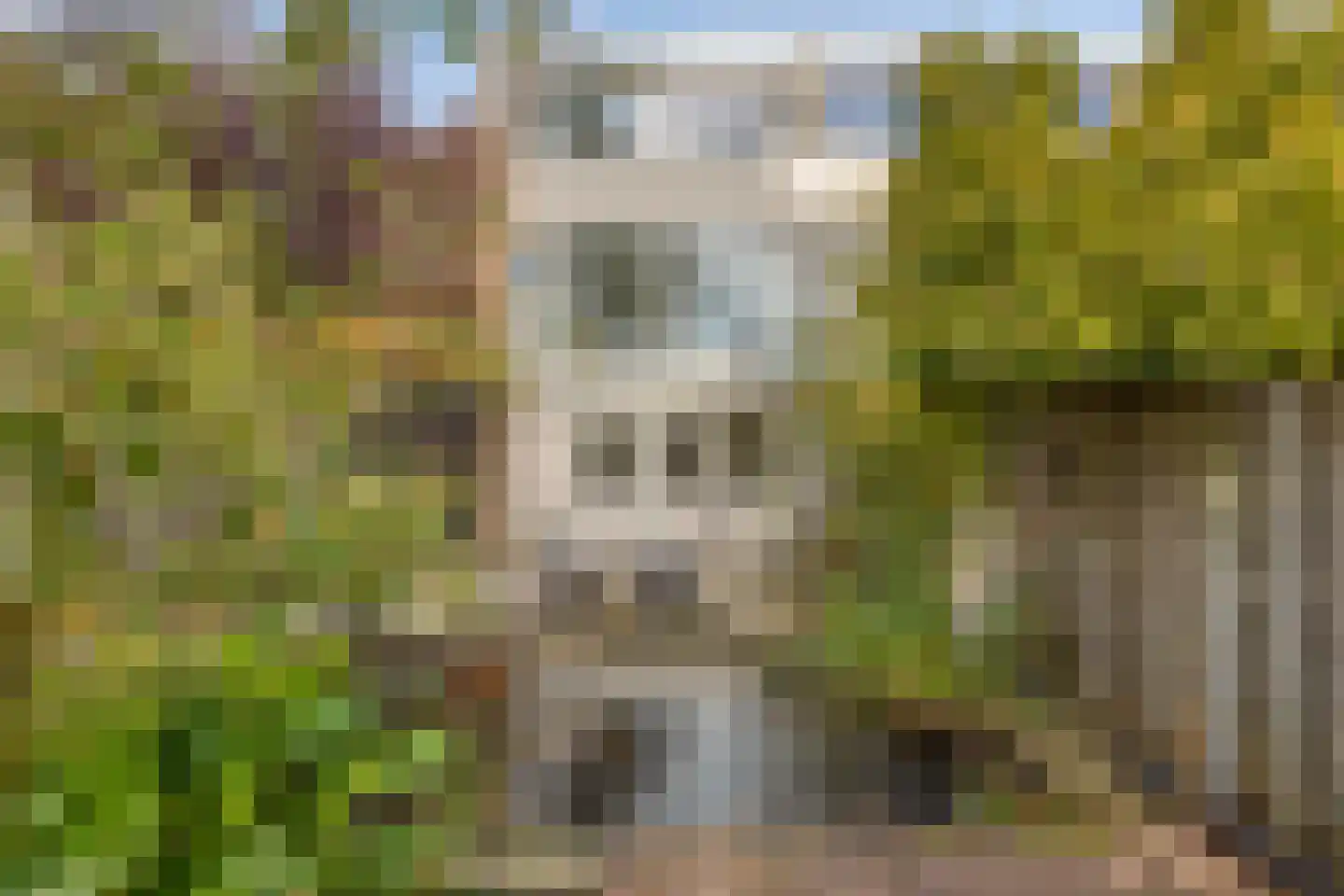 Fregat 55 Brielle thumbnail 25