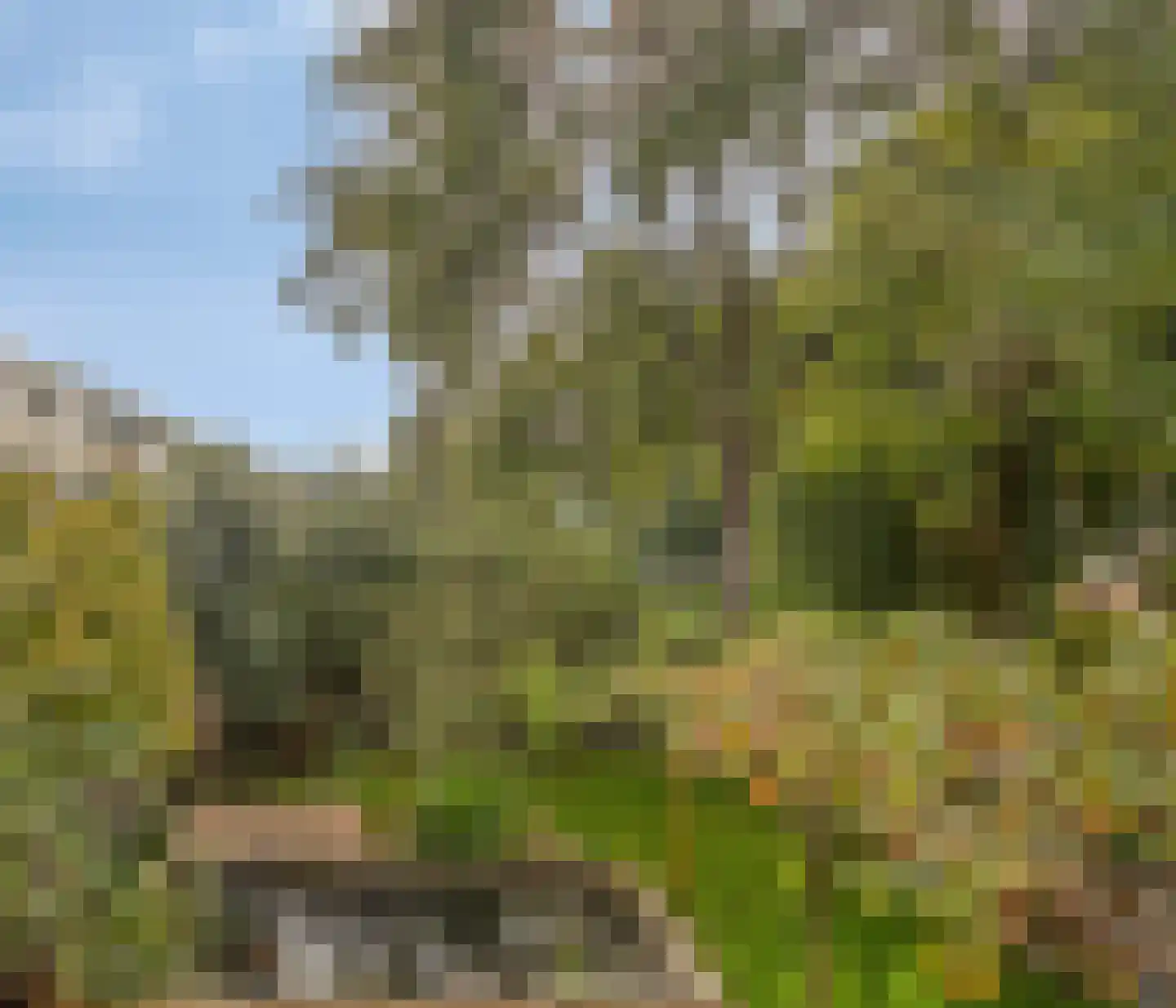 Fregat 55 Brielle thumbnail 5