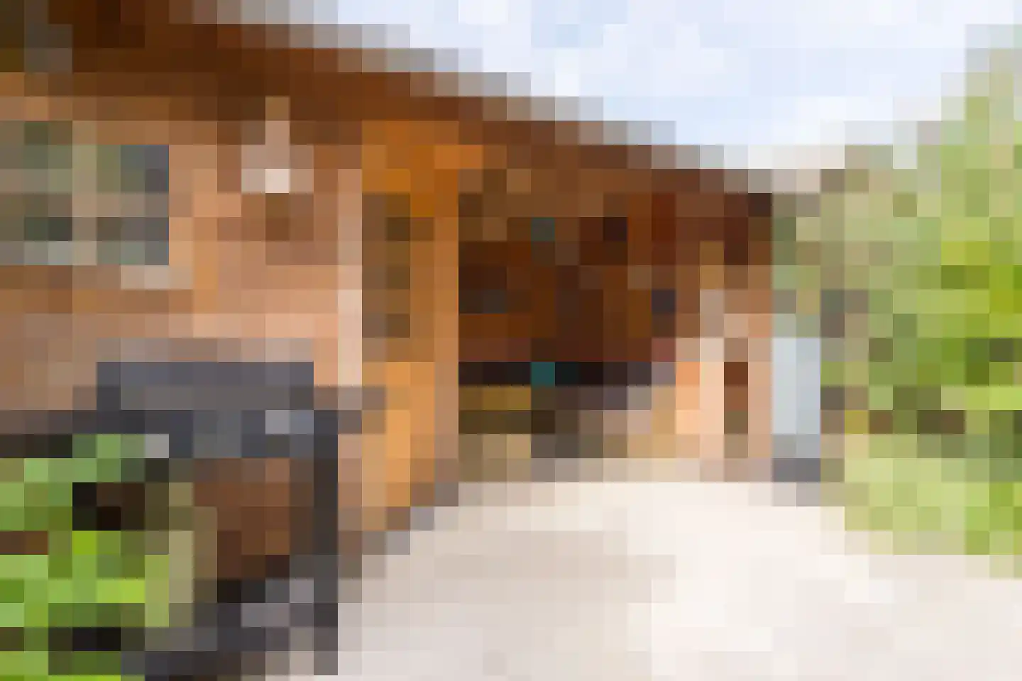 Fregat 67 Velserbroek thumbnail 44