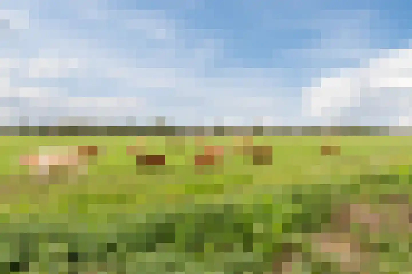Fregat 67 Velserbroek thumbnail 61