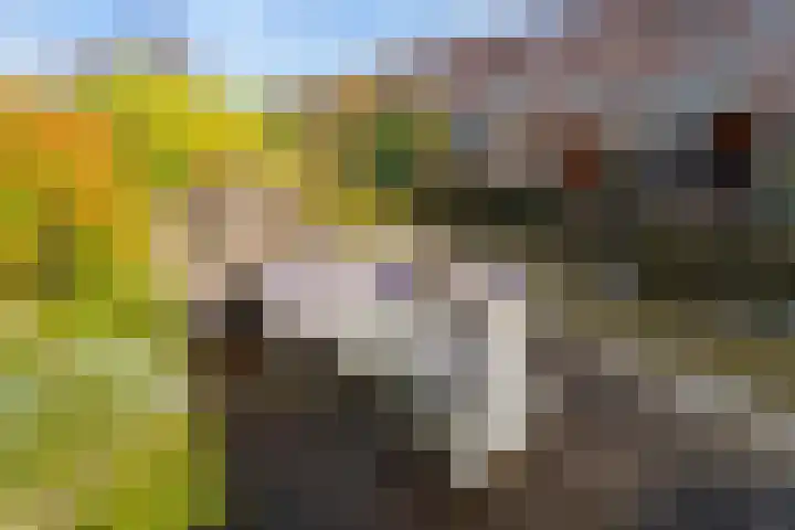 Fregat 85 Velserbroek thumbnail 23