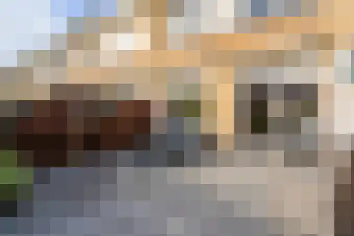 Fregat 85 Velserbroek thumbnail 29