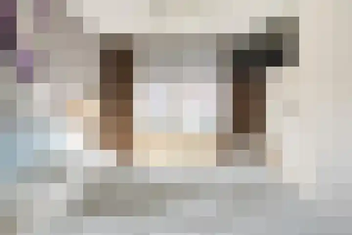 Fregat 85 Velserbroek thumbnail 33