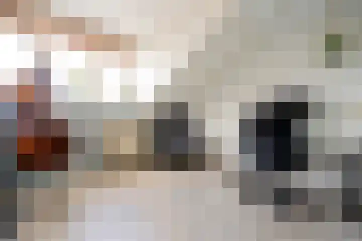 Fregat 85 Velserbroek thumbnail 45