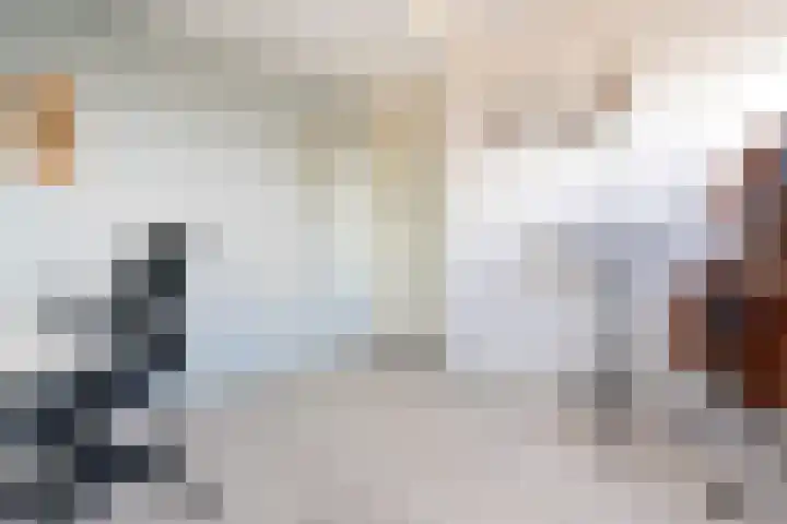 Fregat 85 Velserbroek thumbnail 46
