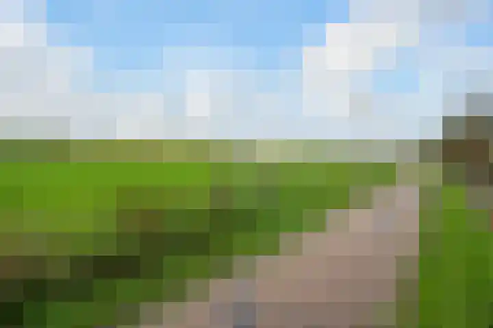 Fregat 85 Velserbroek thumbnail 6