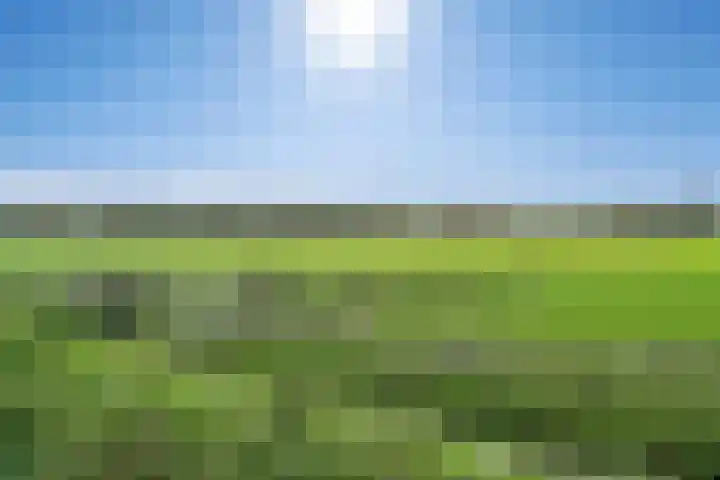 Fregat 85 Velserbroek thumbnail 7