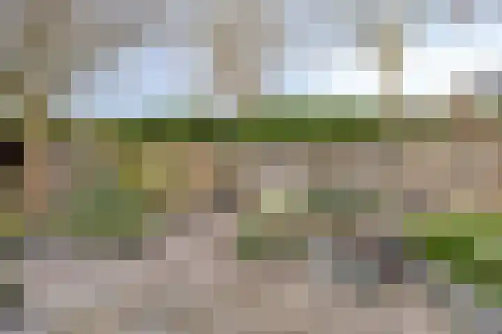 Fregatlaan 41 's-Hertogenbosch thumbnail 38