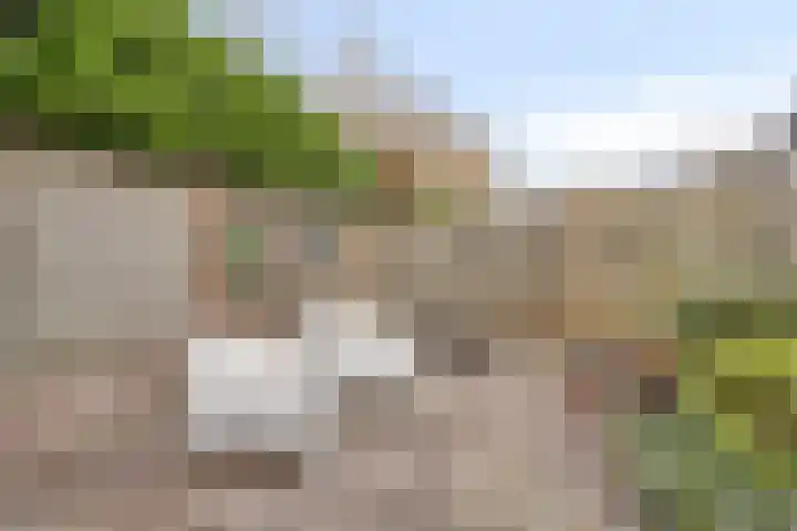 Fregatlaan 41 's-Hertogenbosch thumbnail 39
