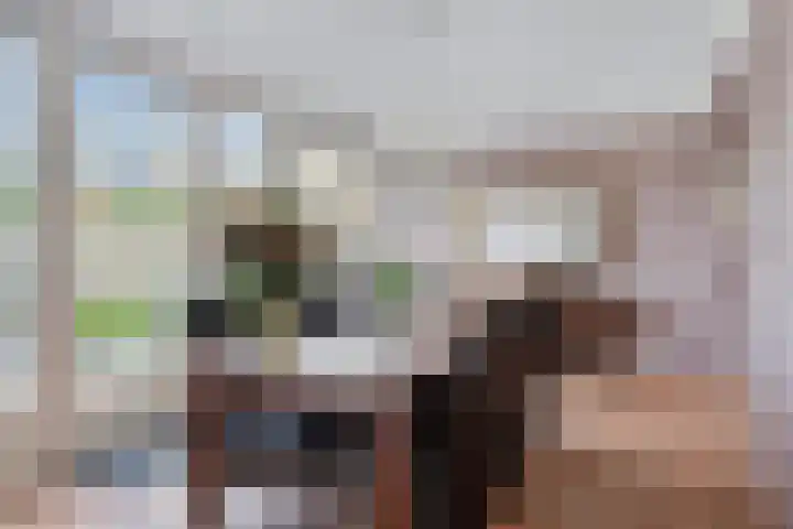 Fregatlaan 41 's-Hertogenbosch thumbnail 4