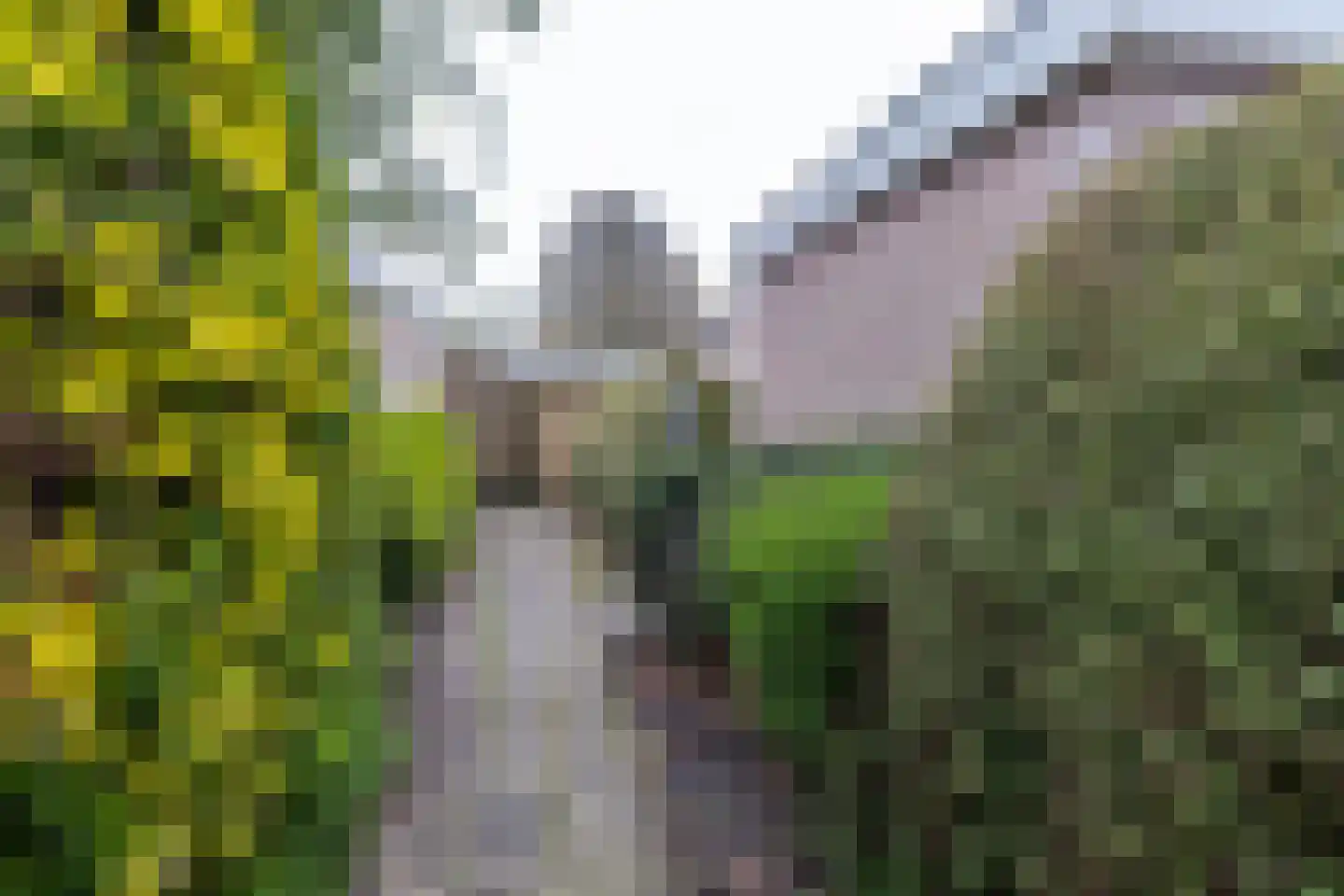 Fregatstraat 106 Veendam thumbnail 37