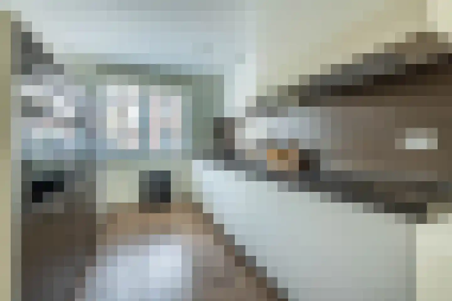 Fregatstraat 17 Amsterdam thumbnail 10