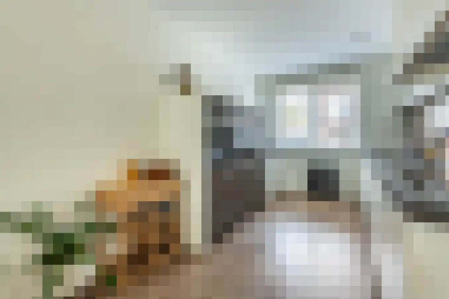 Fregatstraat 17 Amsterdam thumbnail 5