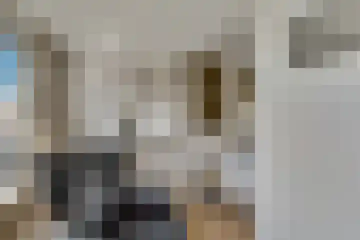 Fregatstraat 21 Utrecht thumbnail 39