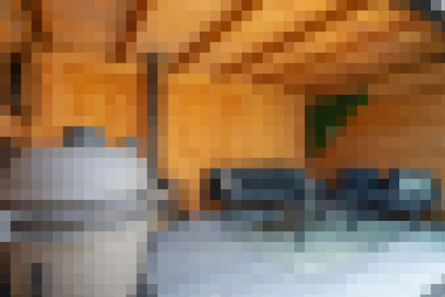 Fregatstraat 28 Alkmaar thumbnail 41