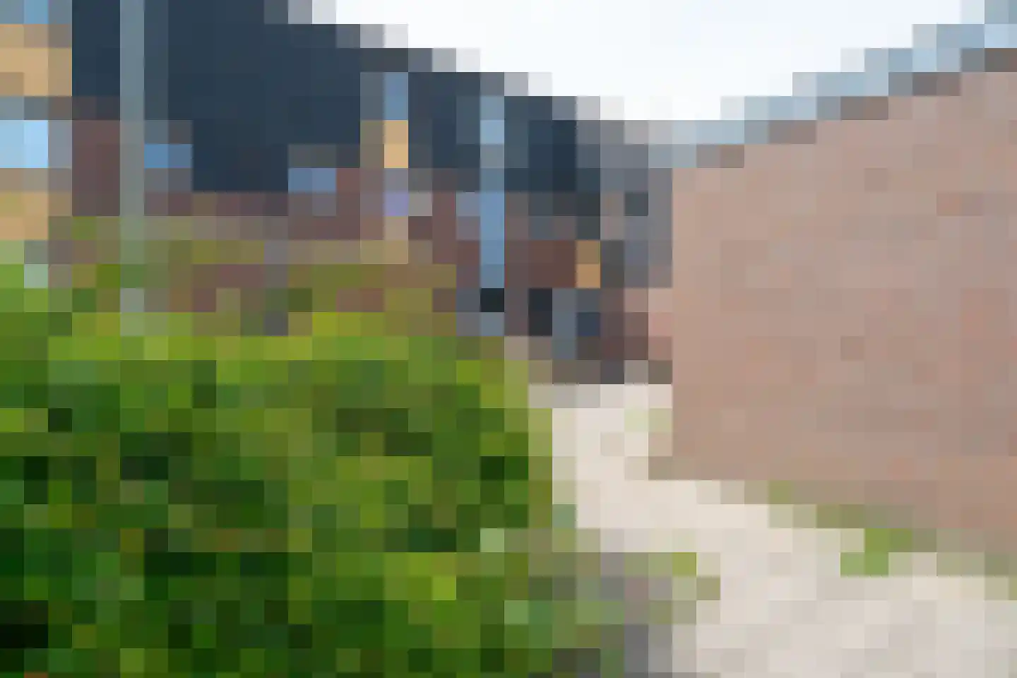 Fregatstraat 28 Alkmaar thumbnail 53