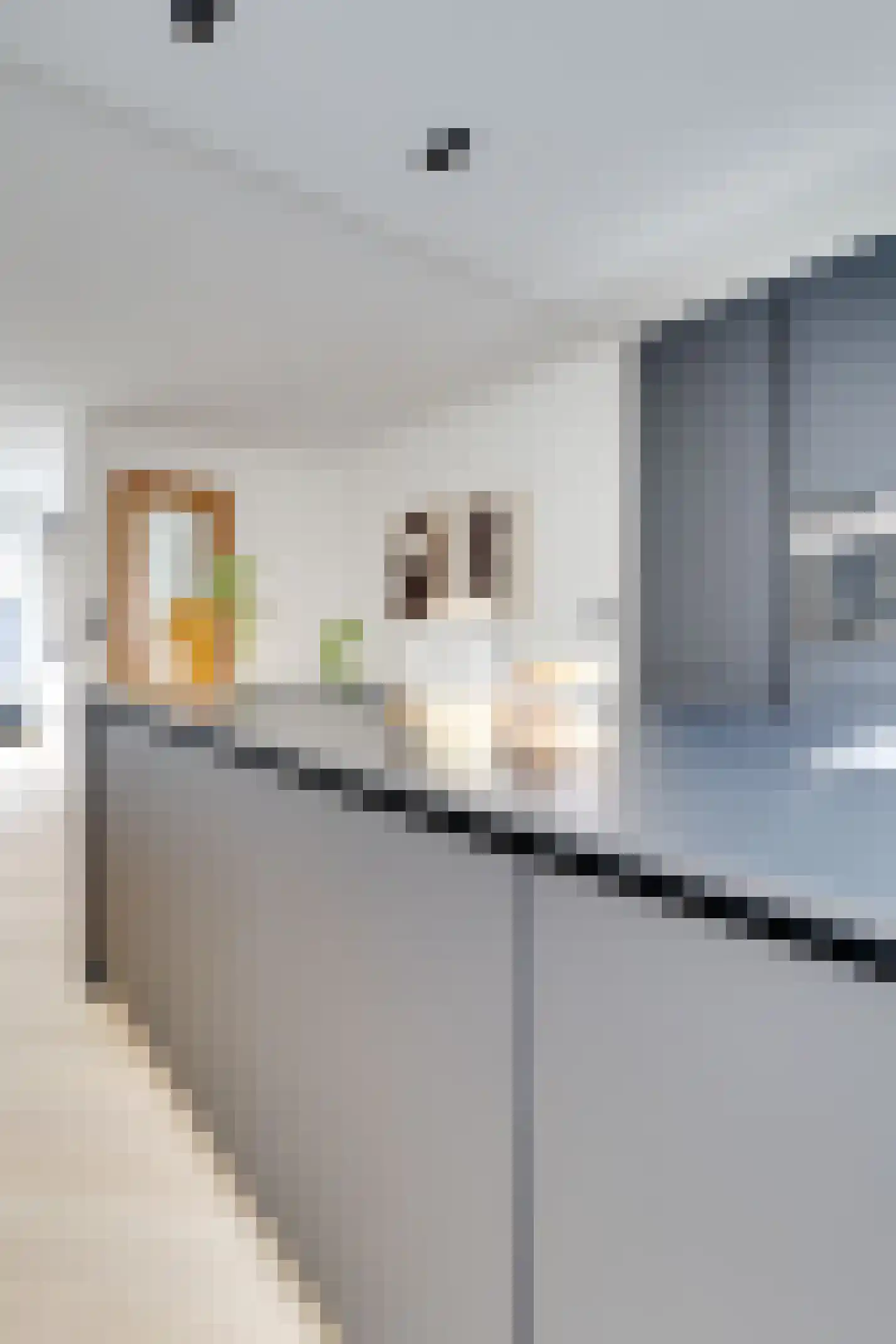 Fregatstraat 29 Utrecht thumbnail 19