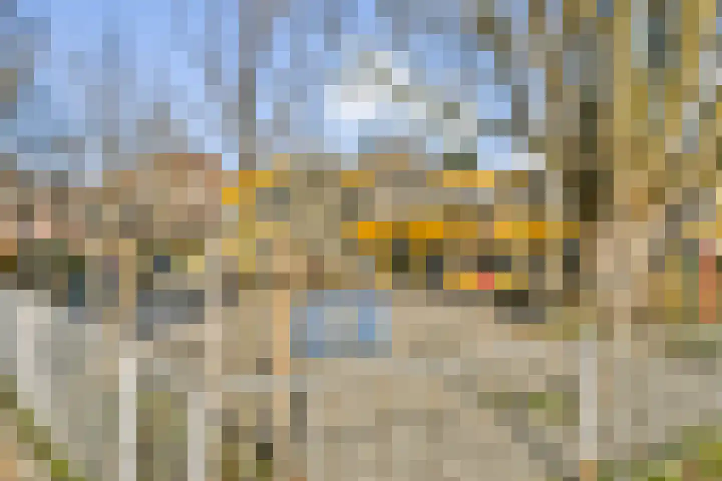 Fregatstraat 3 Alkmaar thumbnail 23