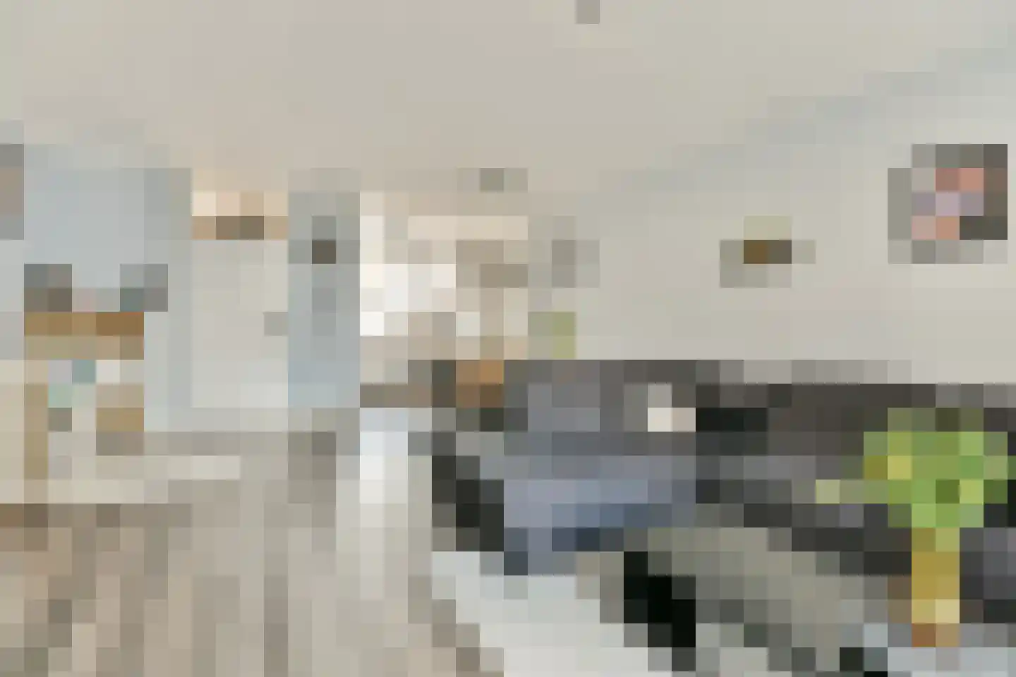 Fregatstraat 3 Alkmaar thumbnail 6