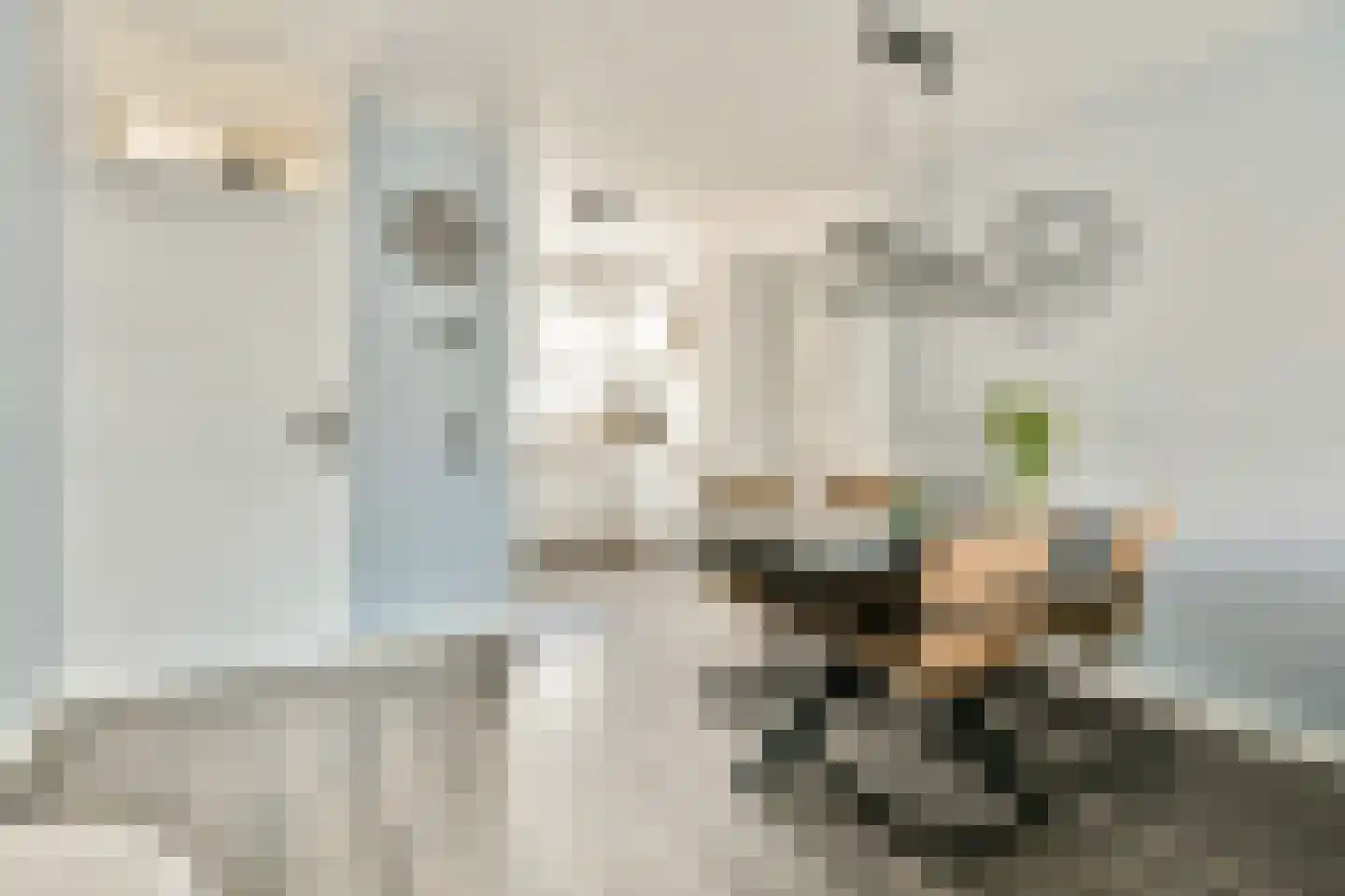 Fregatstraat 3 Alkmaar thumbnail 7