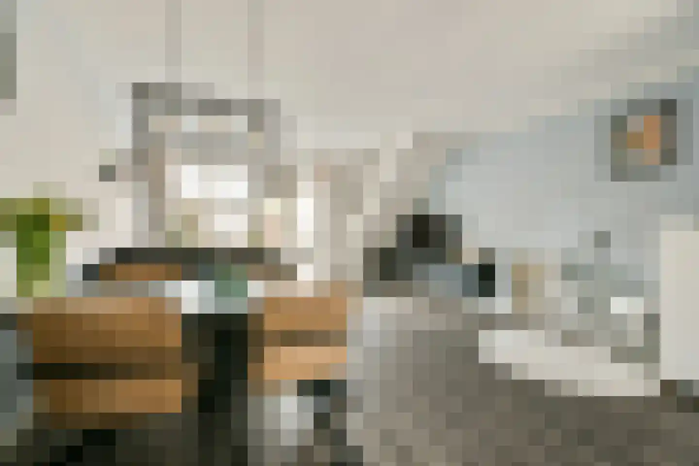 Fregatstraat 3 Alkmaar thumbnail 8