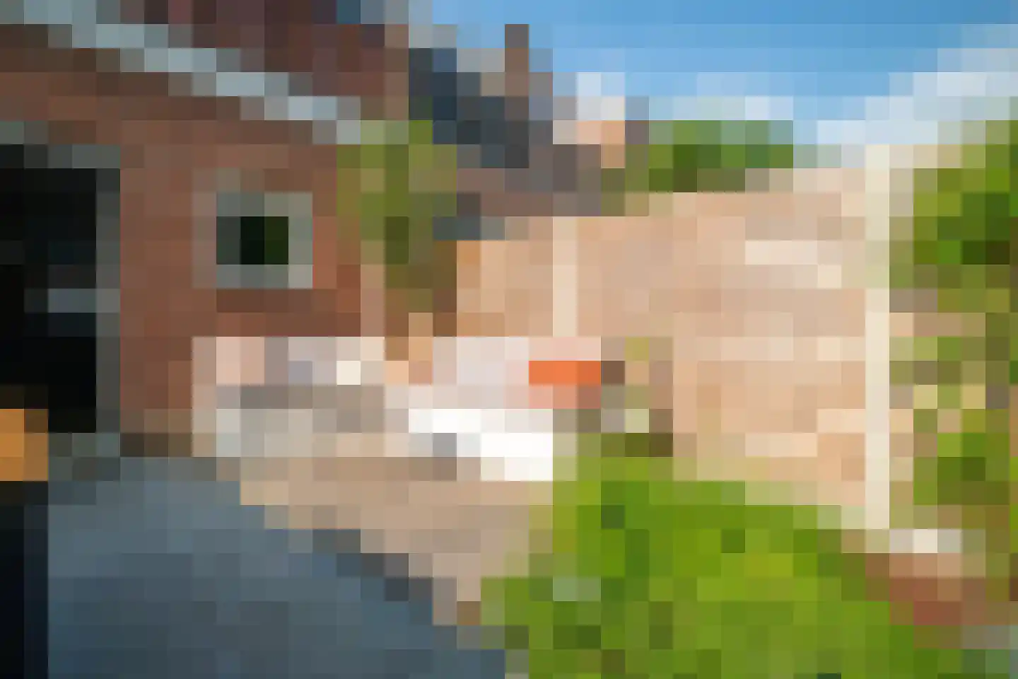 Fregatstraat 3 Utrecht thumbnail 43