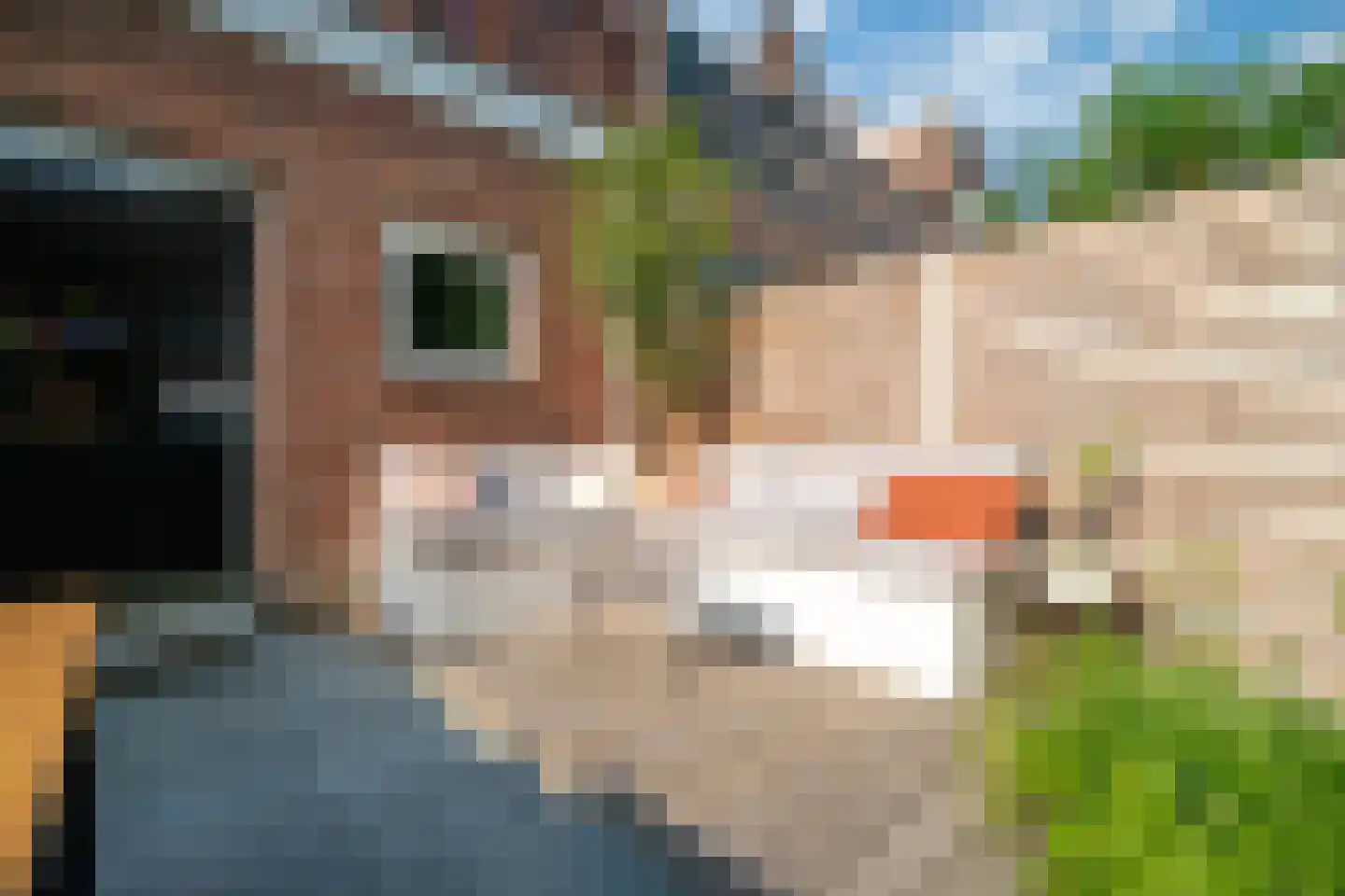 Fregatstraat 3 Utrecht thumbnail 45
