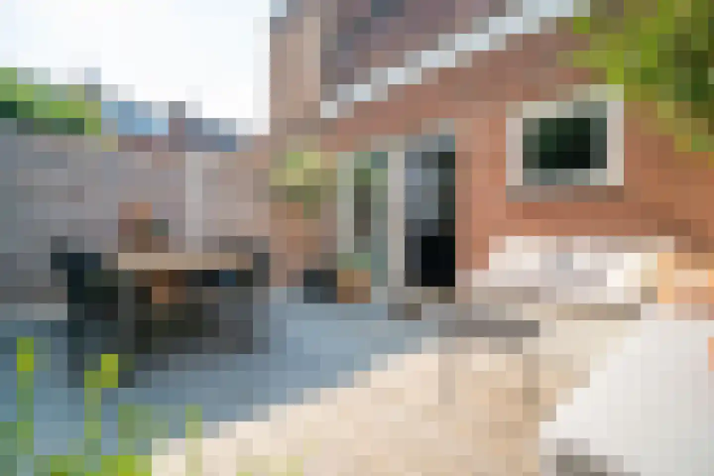 Fregatstraat 3 Utrecht thumbnail 48