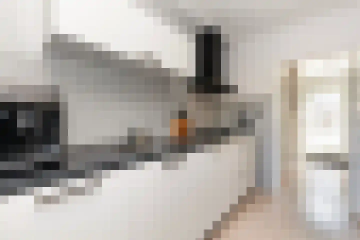 Fregatstraat 32 Nieuw-Lekkerland thumbnail 12