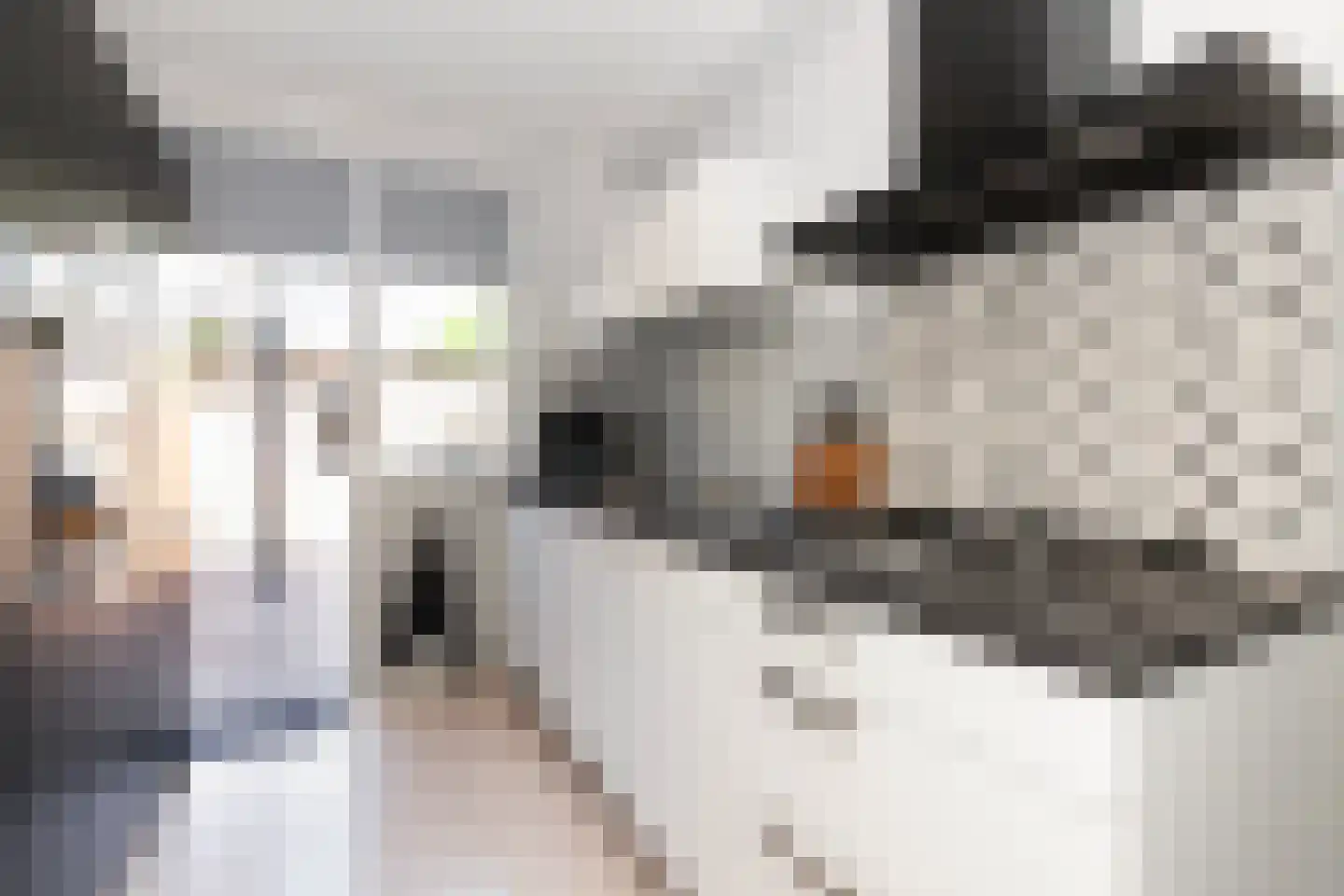 Fregatstraat 32 Nieuw-Lekkerland thumbnail 13