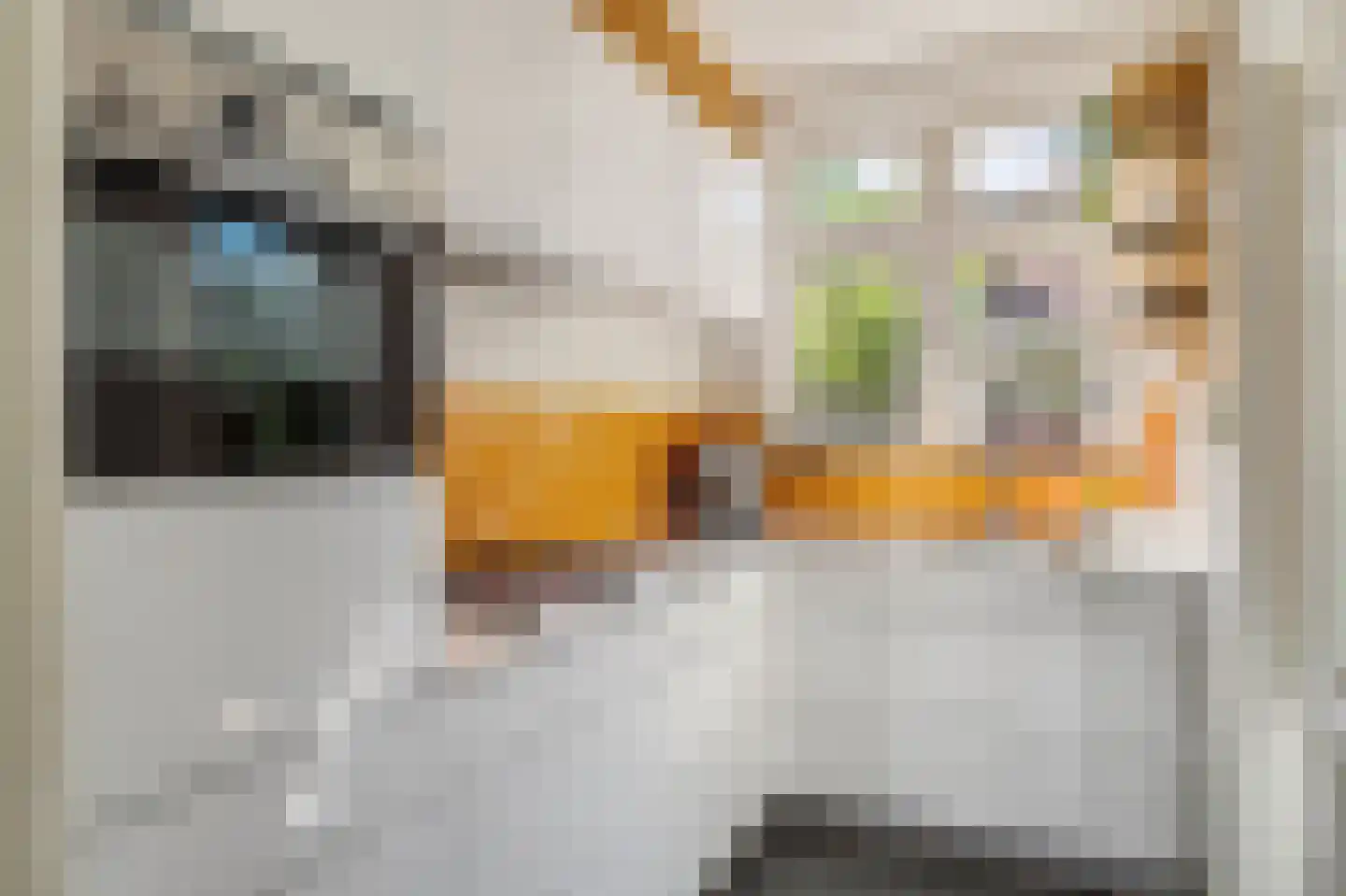 Fregatstraat 4 Utrecht thumbnail 16