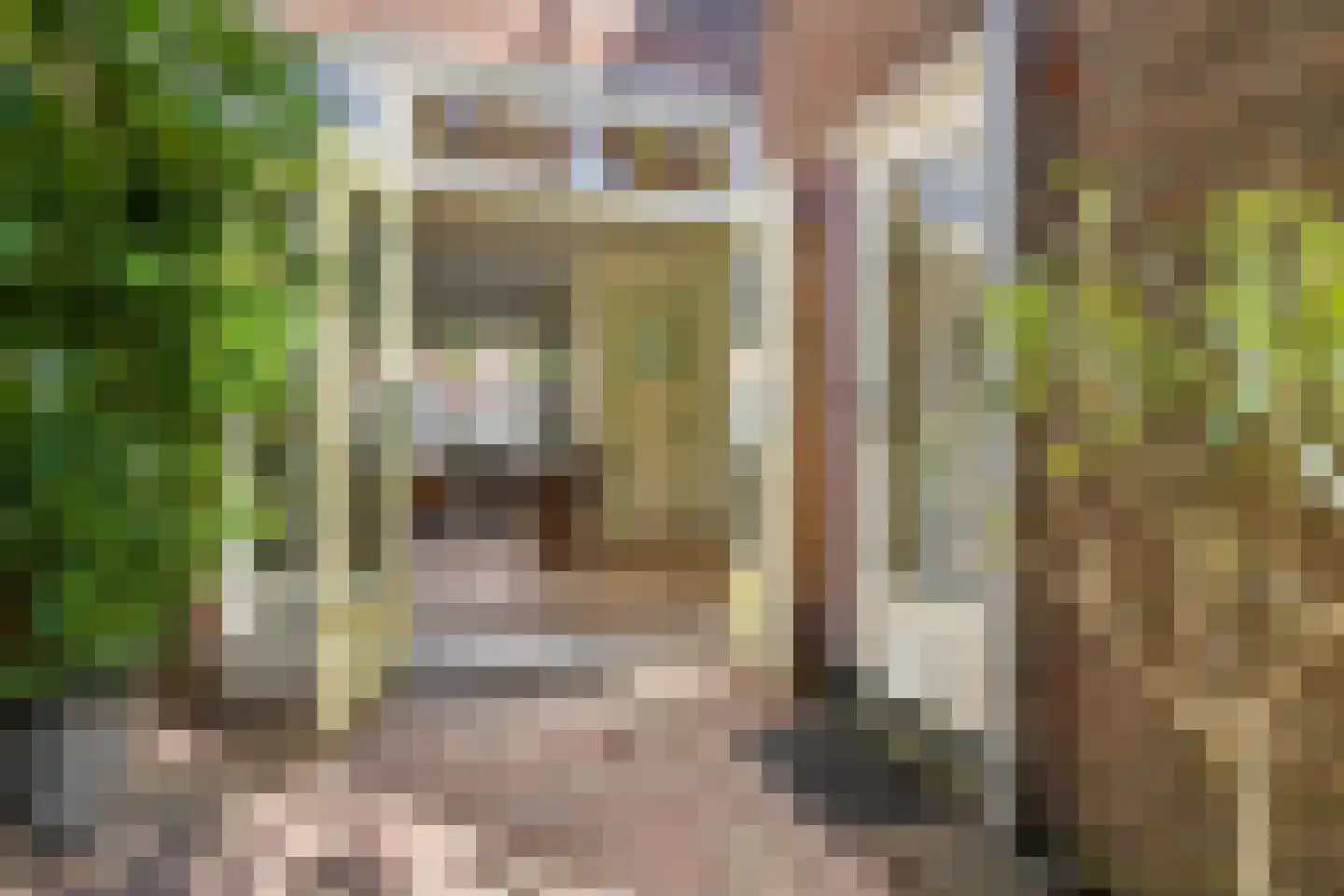 Fregatstraat 4 Utrecht thumbnail 34