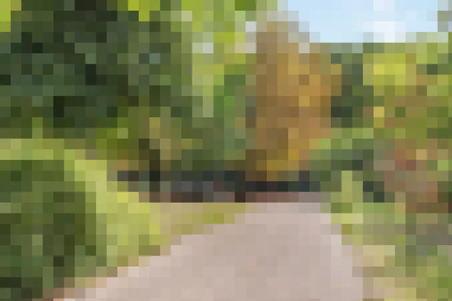 Fregatstraat 4 Utrecht thumbnail 44