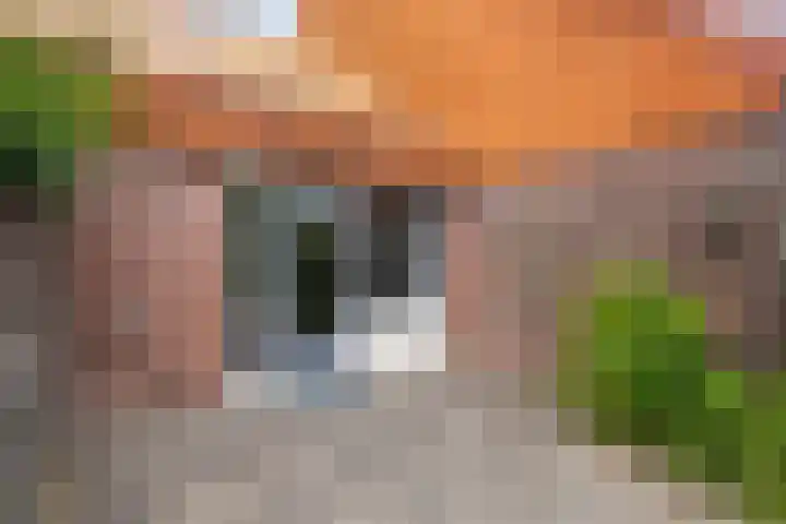 Fregatstraat 41 Alkmaar thumbnail 25