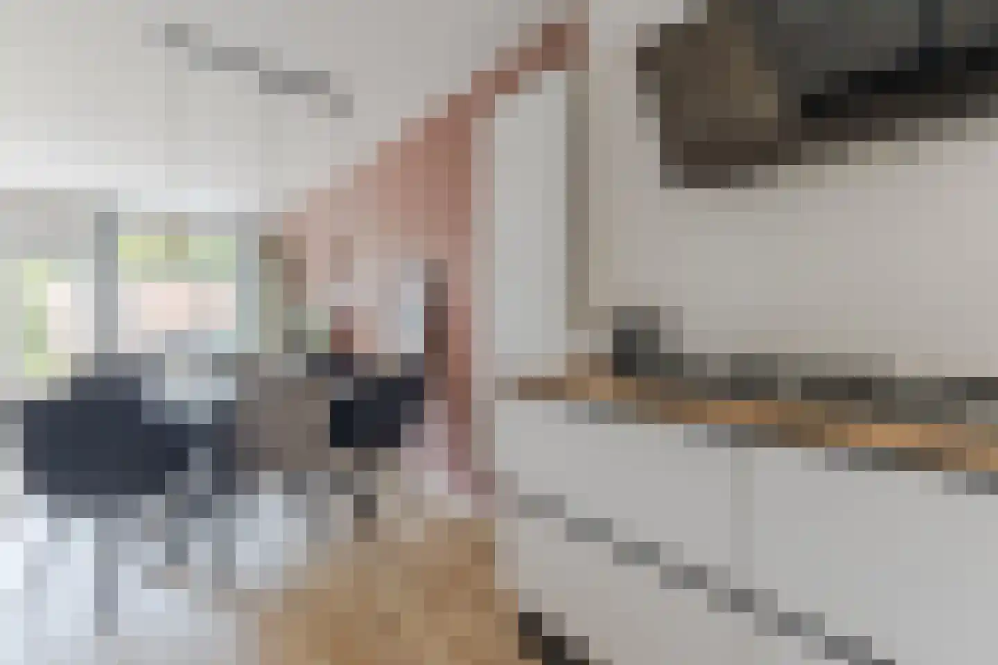 Fregatstraat 47 Alkmaar thumbnail 12