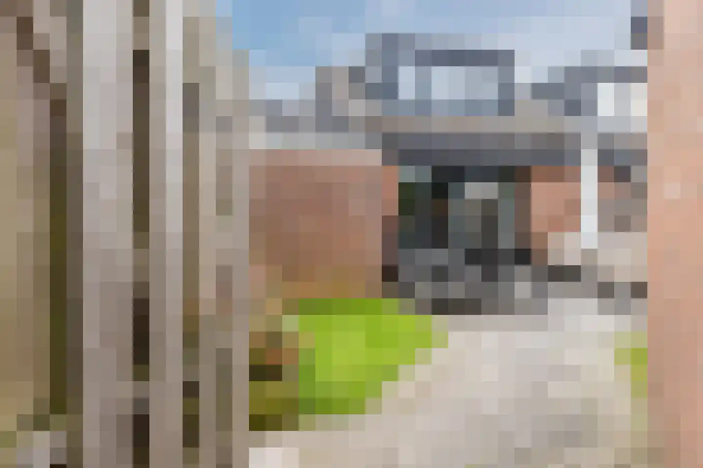 Fregatstraat 47 Alkmaar thumbnail 37