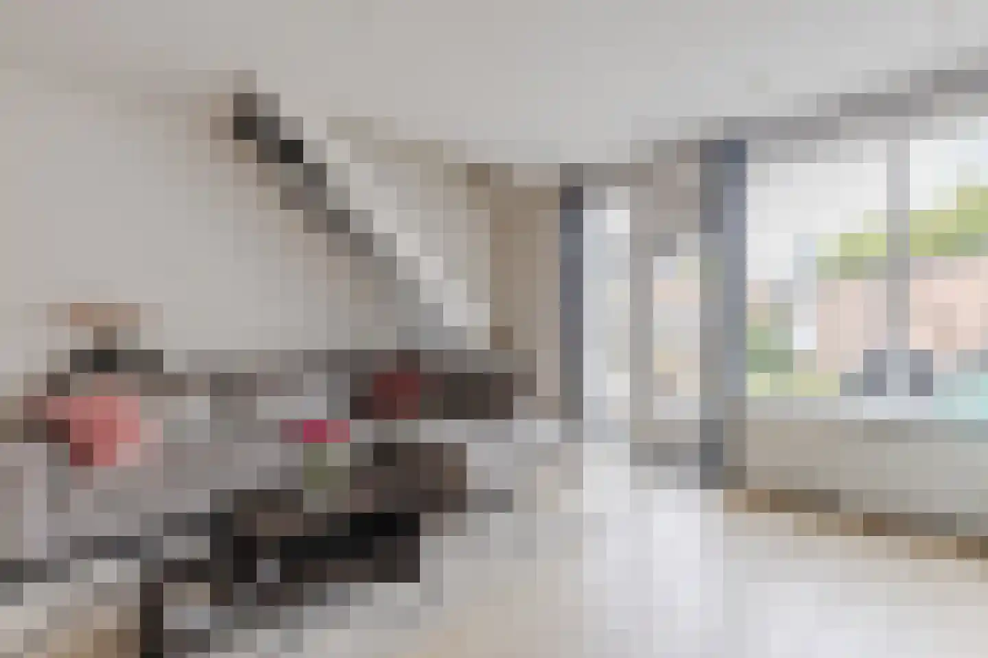 Fregatstraat 47 Alkmaar thumbnail 7
