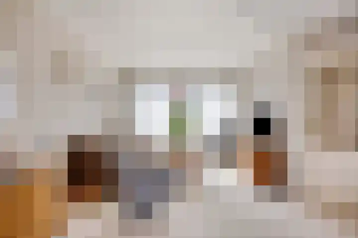 Fregatstraat 5 Nieuw-Lekkerland thumbnail 6